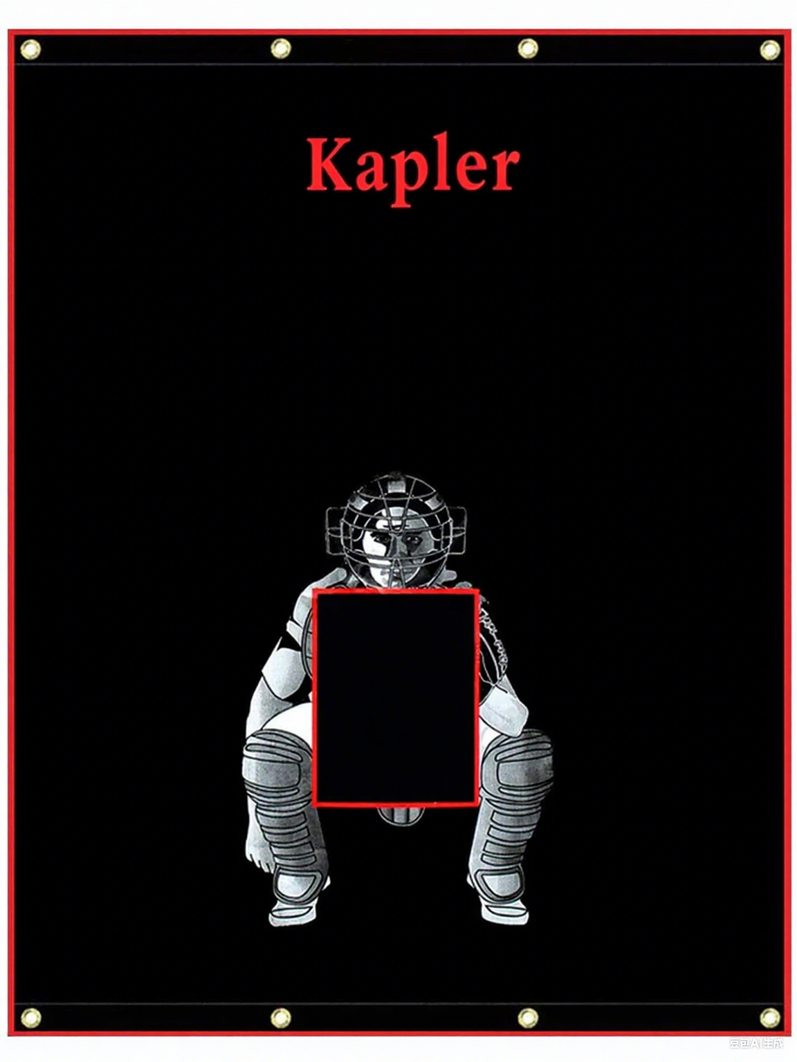 Kapler Softball Backstop Viny Target 4X6ft