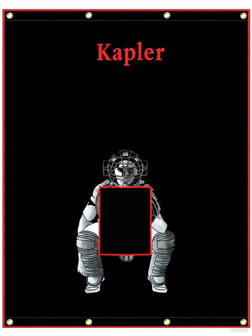 Kapler Softball Backstop Viny Target 5X6ft - Kapler Sports